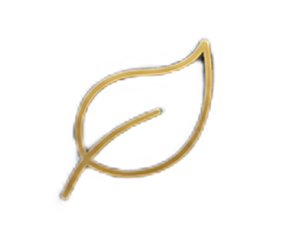 vector 6